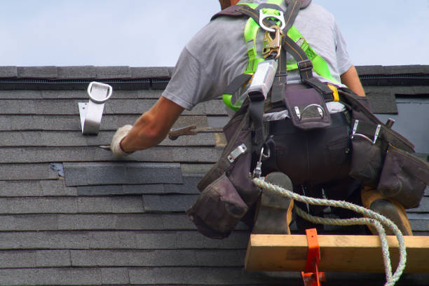 Best Fiber Cement Siding Installation  in Lake Shore, WA