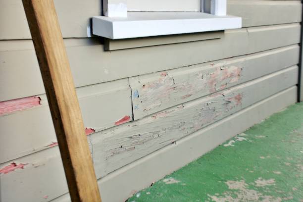 Best Custom Trim and Detailing for Siding  in Lake Shore, WA